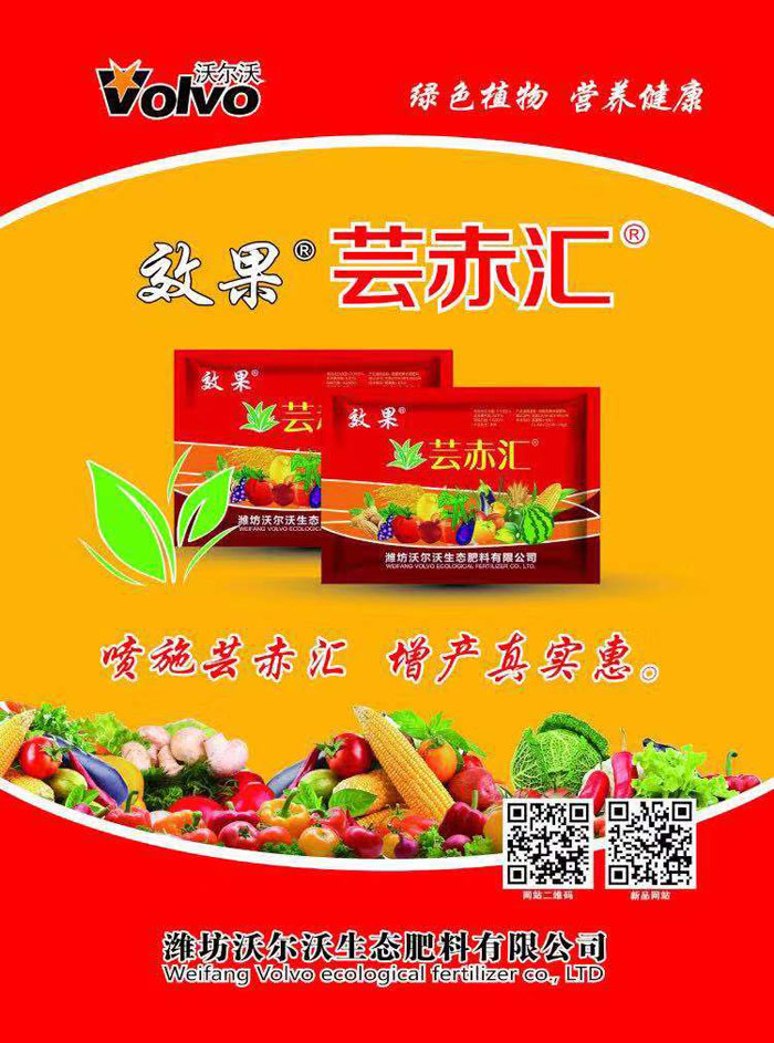 ec198bd855f593474cd15d4c47042ae.jpg